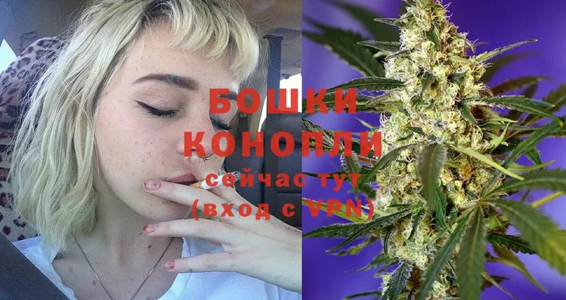 купить наркотик  Калачинск  Бошки Шишки SATIVA & INDICA 